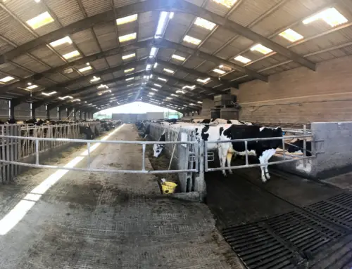 Cockle Park Farm
